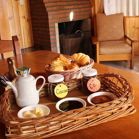 Apart Hotel Del Tilo San Martín de los Andes Eksteriør bilde